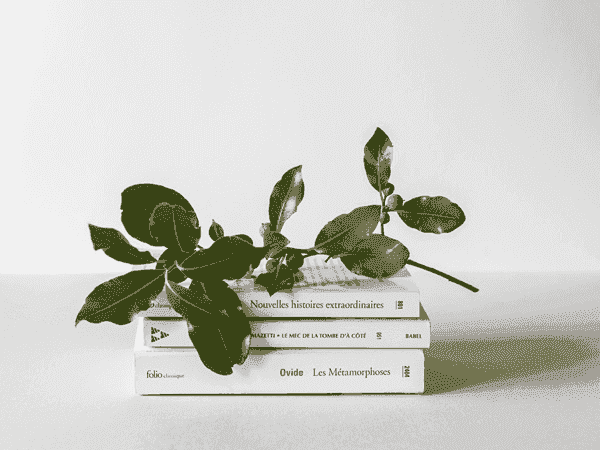 24小时轰炸对方的电话软件